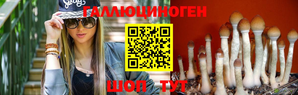 Псилоцибиновые грибы GOLDEN TEACHER Краснокамск