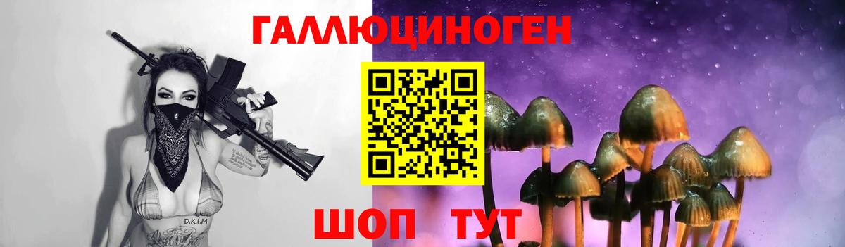 Краснокамск  Галлюциногенные грибы мицелий  Вход с VPN 